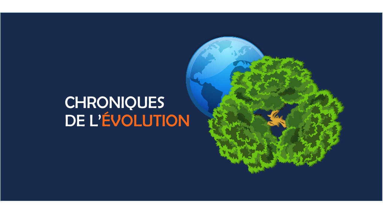 Logo exposition chroniques de l'évolution